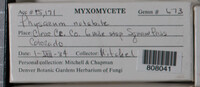 Image Associated With the Occurence